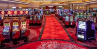 Mega 7s casino 75 ilmaiskierrosta, Kasinobussi laughliniin, dave chappelle live-kasinon liput